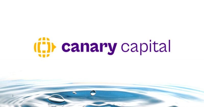 Canary Capital staked SEI ETF trust registration in Delaware